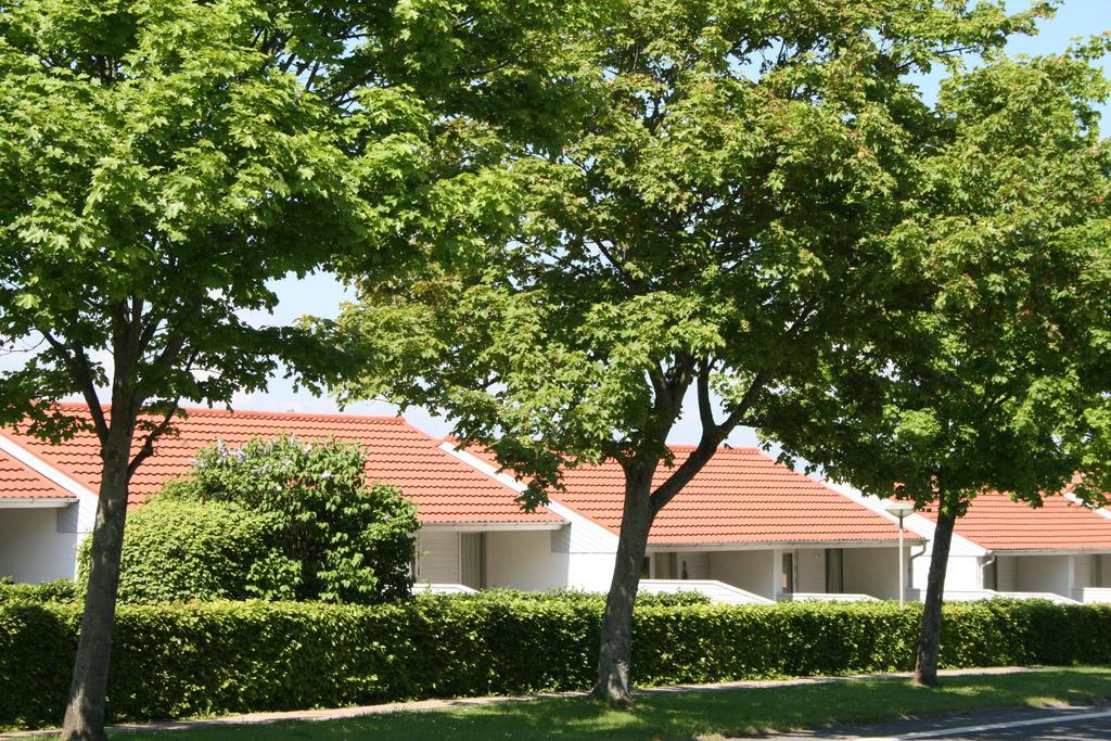 Aero Marina Villa Ærøskøbing Bagian luar foto